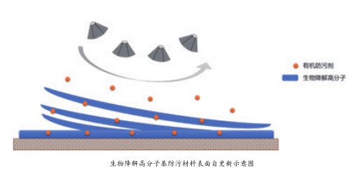 图片24