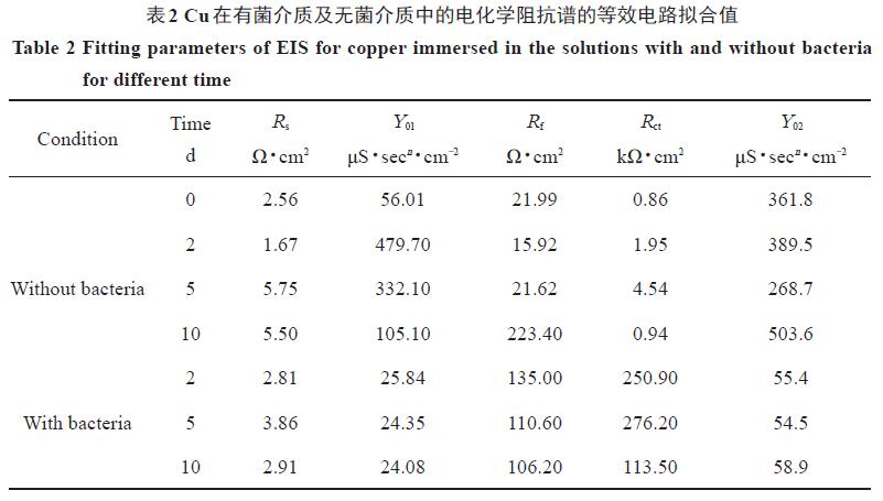 xinbiao2.jpg