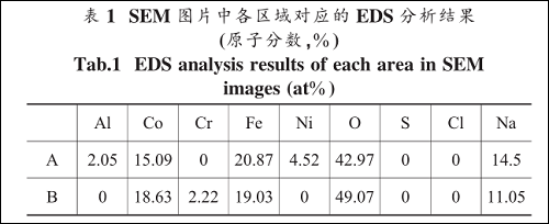 图片19