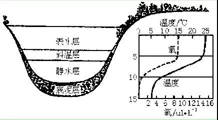 溶液3.jpg