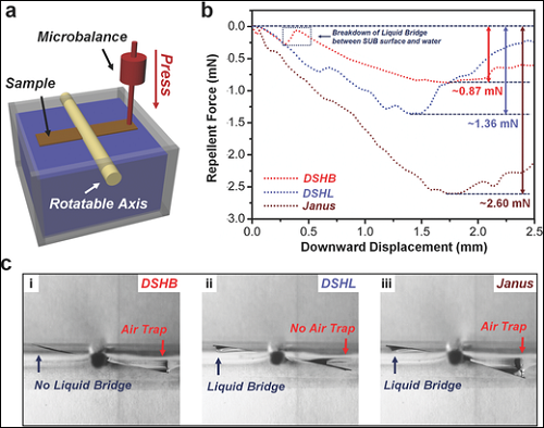 adfm201701466-fig-0006-e1495628918221