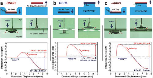 adfm201701466-fig-0003-1